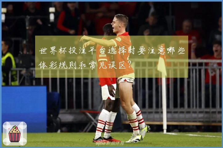 世界杯投注平台选择时要注意哪些体彩规则和常见误区？