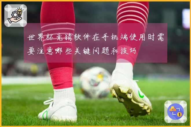 世界杯竞猜软件在手机端使用时需要注意哪些关键问题和技巧