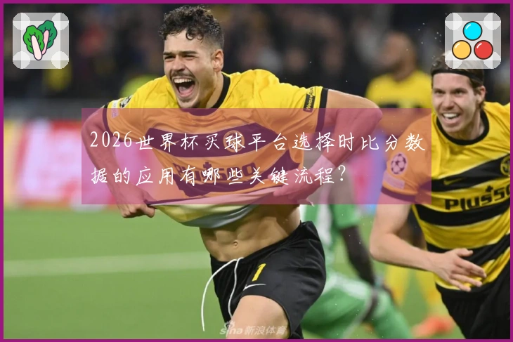 2026世界杯买球平台选择时比分数据的应用有哪些关键流程?