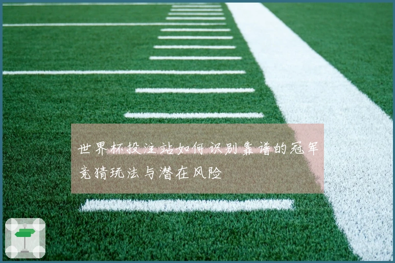 世界杯投注站如何识别靠谱的冠军竞猜玩法与潜在风险
