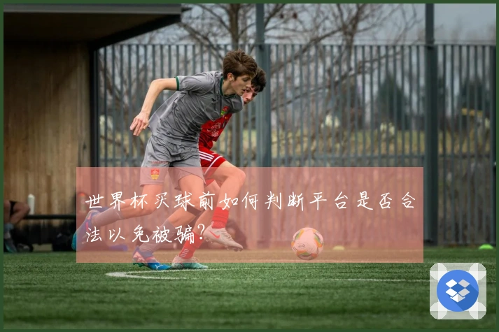 世界杯买球前如何判断平台是否合法以免被骗？