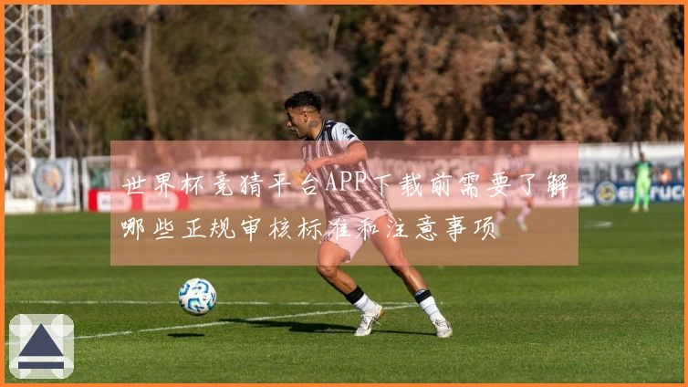 世界杯竞猜平台APP下载前需要了解哪些正规审核标准和注意事项