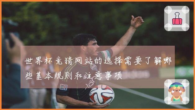 世界杯竞猜网站的选择需要了解哪些基本规则和注意事项