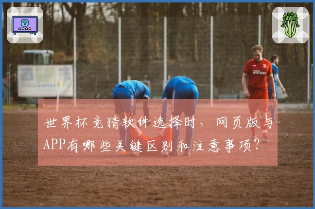 世界杯竞猜软件选择时,网页版与APP有哪些关键区别和注意事项?