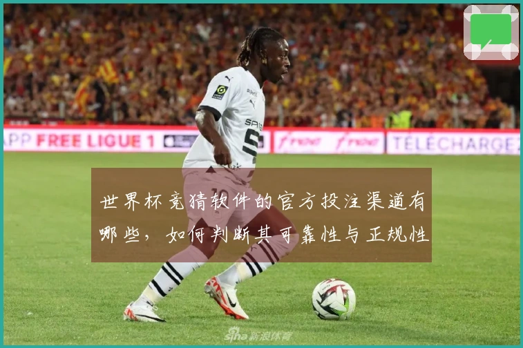 世界杯竞猜软件的官方投注渠道有哪些，如何判断其可靠性与正规性？