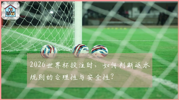 2026世界杯投注时，如何判断返水规则的合理性与安全性？