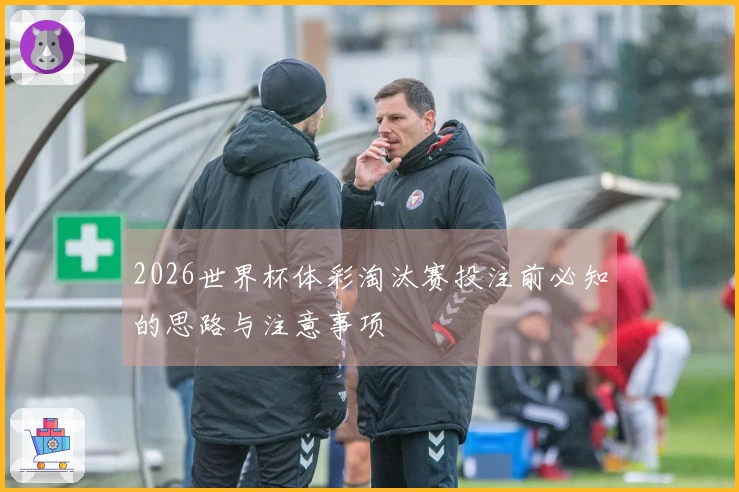 2026世界杯体彩淘汰赛投注前必知的思路与注意事项