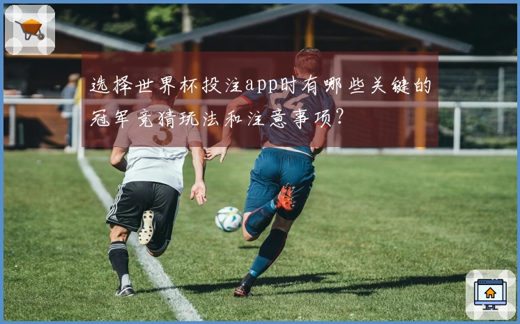选择世界杯投注app时有哪些关键的冠军竞猜玩法和注意事项?