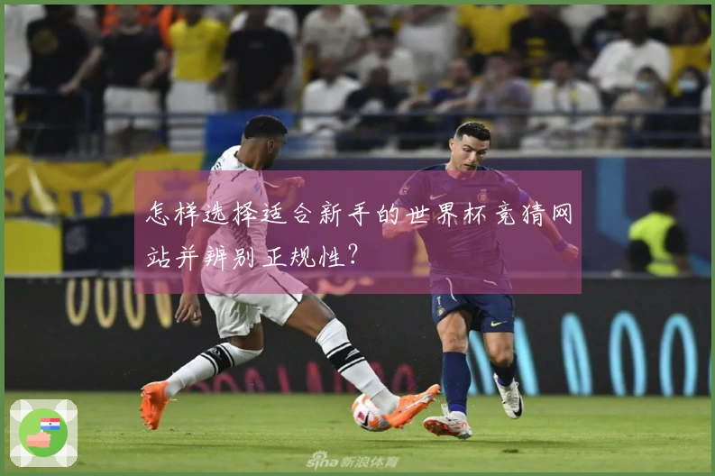 怎样选择适合新手的世界杯竞猜网站并辨别正规性?