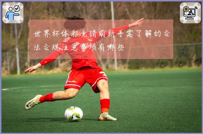世界杯体彩竞猜前新手需了解的合法合规注意事项有哪些