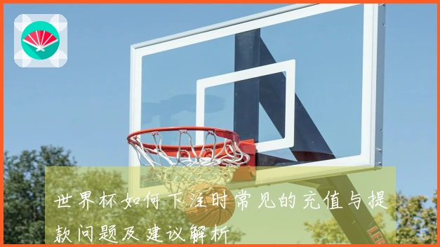 世界杯如何下注时常见的充值与提款问题及建议解析