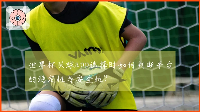 世界杯买球app选择时如何判断平台的稳定性与安全性？