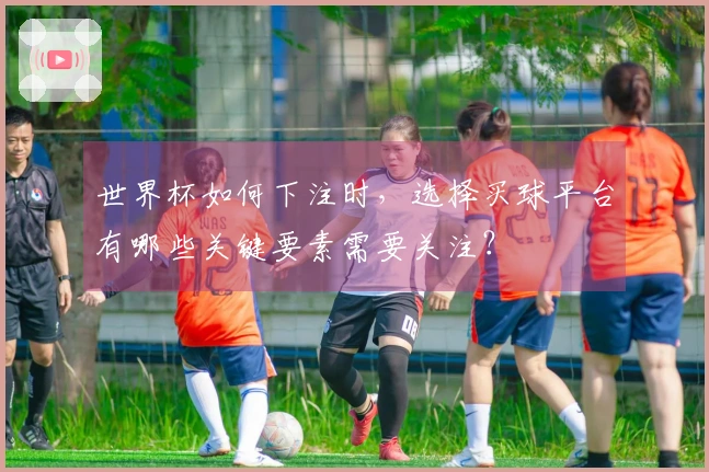 世界杯如何下注时,选择买球平台有哪些关键要素需要关注?