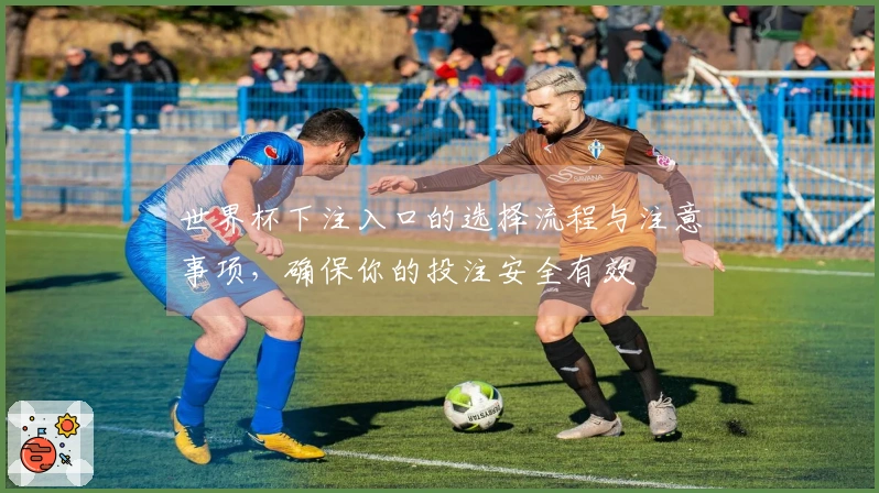 世界杯下注入口的选择流程与注意事项，确保你的投注安全有效