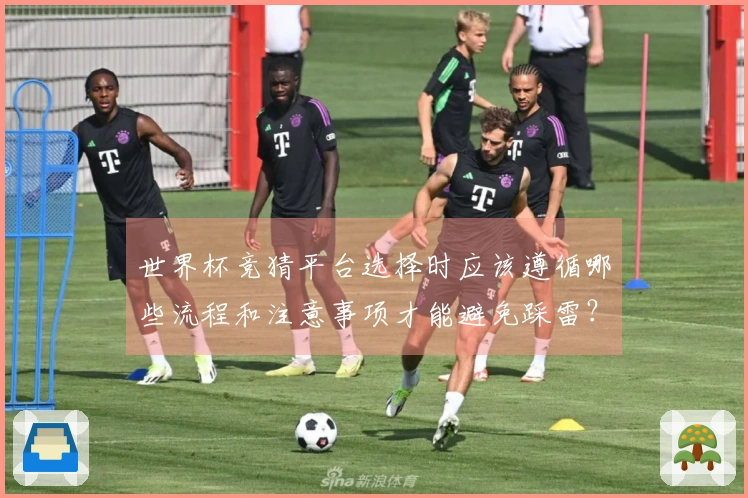 世界杯竞猜平台选择时应该遵循哪些流程和注意事项才能避免踩雷?
