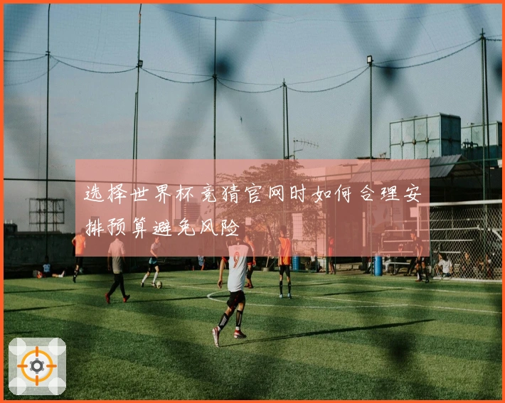 选择世界杯竞猜官网时如何合理安排预算避免风险