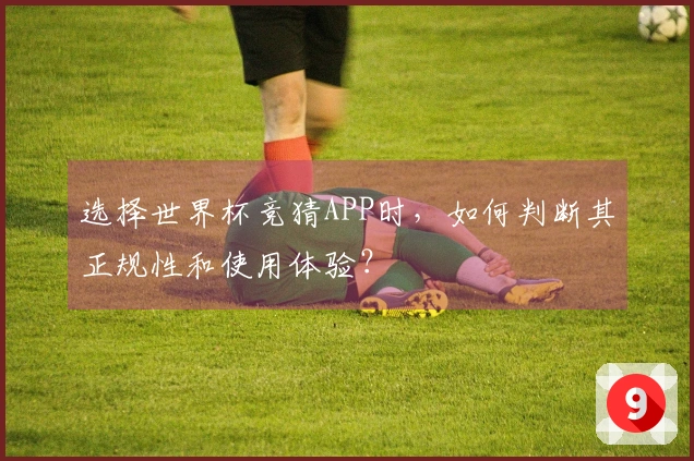 选择世界杯竞猜APP时,如何判断其正规性和使用体验?