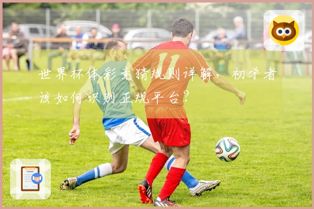 世界杯体彩竞猜规则详解，初学者该如何识别正规平台？